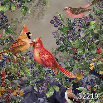 Ashford garden sunday