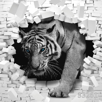 Сквозь стену