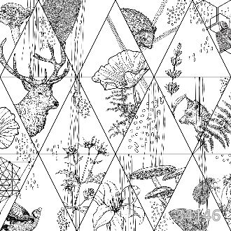 Зарисовки природы