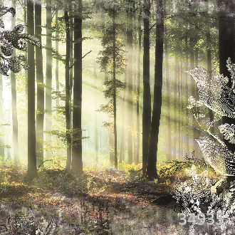 Таинственный лес