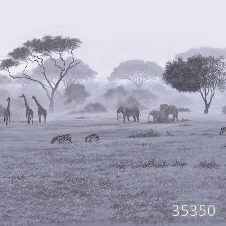 Лесная идиллия