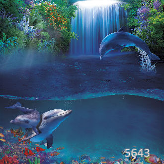 Залив с водопадом и дельфинами