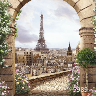 Арка с видом на Париж