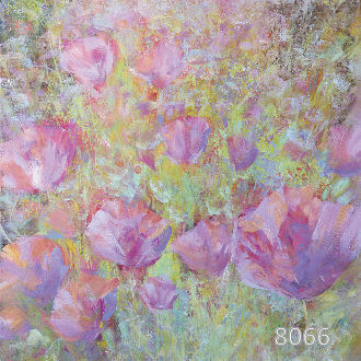 Розовые маки