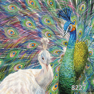 Я за тобой как за стеной