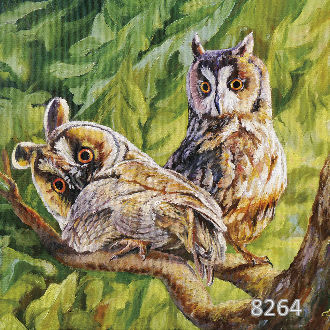 Тайное свидание лучшее